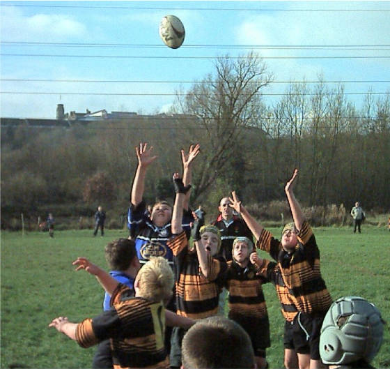 lineout.jpg